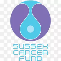 布莱顿慈善组织筹款-罗斯梅尔癌症基金会-空若网 布莱顿慈善组织筹款-罗斯梅尔癌症基金会-空若网