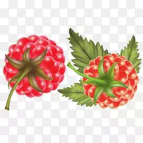 草莓红覆盆子-甜可口的红树莓原料-空若网 草莓红覆盆子-甜可口的红树莓原料-空若网