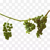 �����޺�����-������