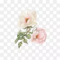 水彩画:鲜花水彩画花园玫瑰水彩画牡丹-空若网 水彩画:鲜花水彩画花园玫瑰水彩画牡丹-空若网