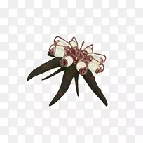 ���������鱦.����-������