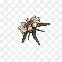 昆虫身体珠宝.昆虫-空若网 昆虫身体珠宝.昆虫-空若网