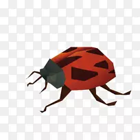 昆虫瓢虫图三维七星瓢虫装饰-空若网 昆虫瓢虫图三维七星瓢虫装饰-空若网