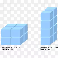 艾伦规则体积科学贝格曼规则表面积-科学-空若网 艾伦规则体积科学贝格曼规则表面积-科学-空若网