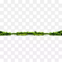 草本植物-云南大明湖-空若网 草本植物-云南大明湖-空若网