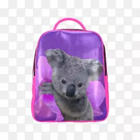 考拉澳大利亚钟兰。-空若网 考拉澳大利亚钟兰。-空若网