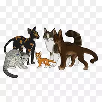 猫尾巴野生动物毛皮-空若网 猫尾巴野生动物毛皮-空若网