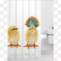 �����ա�����Ī˹������˹��Τ��˹.��A la tortilla�����ֽ���ʹ�ѧ�͸ߵ��о�����¬����0-��ˮ��-������