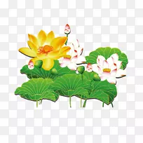 荷兰荷叶茶-空若网 荷兰荷叶茶-空若网