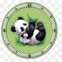 ����è������ά��-��è����-������