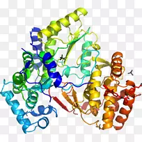 ���������л����߼�������-������