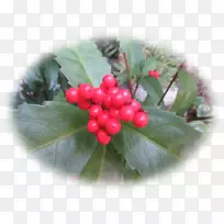 ºìºú½·-¿ÕÈôÍø ºìºú½·-¿ÕÈôÍø