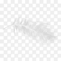 °×ɫͼ°¸-´´Òâ°×É«Óðë-¿ÕÈôÍø °×ɫͼ°¸-´´Òâ°×É«Óðë-¿ÕÈôÍø