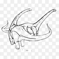 ����Ħ���ǿ���������-����-������