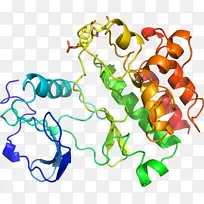 人体首饰有机体线剪贴画线-空若网 人体首饰有机体线剪贴画线-空若网