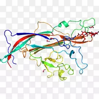 线艺术点动物剪贴画线-空若网 线艺术点动物剪贴画线-空若网