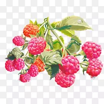 ������-���ʸ����ӣ���Ҷ����-������