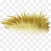 ���ݼ�����-Ư���Ŀ�ͨ��-������