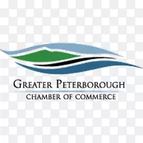 �̱��������-������