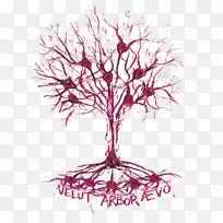 线状开花植物字形线-空若网 线状开花植物字形线-空若网