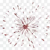 天空花瓣光-空若网 天空花瓣光-空若网