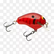 汤匙引诱昆虫蜂蜜如此甜蜜的小龙虾膜-昆虫-空若网 汤匙引诱昆虫蜂蜜如此甜蜜的小龙虾膜-昆虫-空若网