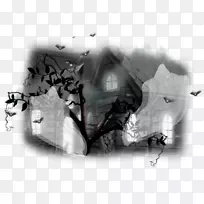 �����ֽ��ɫ���-������