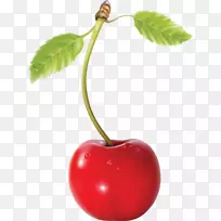 ӣ��ӣ��-������