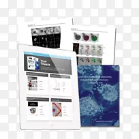 品牌多媒体-Antwoord-空若网 品牌多媒体-Antwoord-空若网