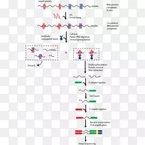 线点角字体线-空若网 线点角字体线-空若网