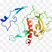 线点生物剪贴画线-空若网 线点生物剪贴画线-空若网