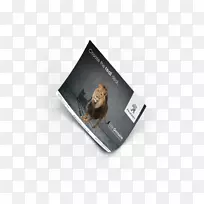 ���Ӷ�ý��Ʒ��-��־���-������