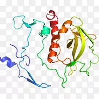 有机体线人类行为点剪贴画线-空若网 有机体线人类行为点剪贴画线-空若网