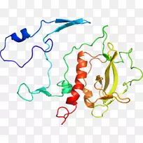 有机体线人类行为点剪贴画线-空若网 有机体线人类行为点剪贴画线-空若网