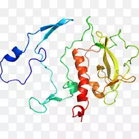 �ߵ������������-������