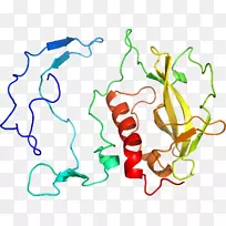 线点生物剪贴画线-空若网 线点生物剪贴画线-空若网