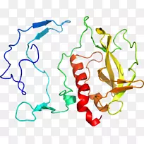 人体行为有机体线点剪贴画线-空若网 人体行为有机体线点剪贴画线-空若网
