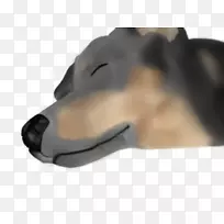 狗下巴鼻子-狗-空若网 狗下巴鼻子-狗-空若网