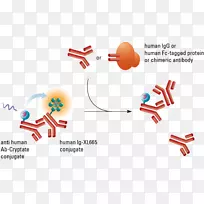 ƽ�����Ʒ���˵���Ϊ���-������