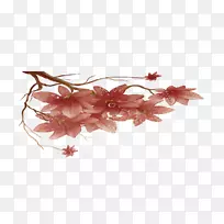 花瓣切花图案樱花花束-空若网 花瓣切花图案樱花花束-空若网