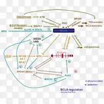 ֱ�ߵ����-������