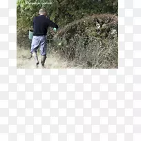 土壤草水游憩树-杂志广告-空若网 土壤草水游憩树-杂志广告-空若网