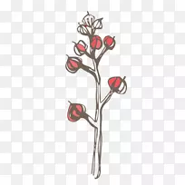 树干-空若网 树干-空若网