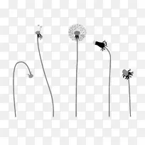 花身珠宝白花-空若网 花身珠宝白花-空若网