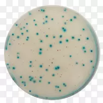 生长介质水分检测分析水化学微生物学-水-空若网 生长介质水分检测分析水化学微生物学-水-空若网