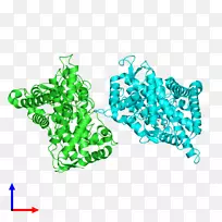 树-树-空若网 树-树-空若网