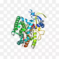 艺术身体珠宝有机体线剪贴画线-空若网 艺术身体珠宝有机体线剪贴画线-空若网
