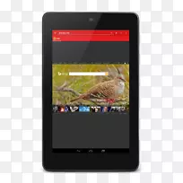 Android果冻豆网络浏览器-android-空若网 Android果冻豆网络浏览器-android-空若网