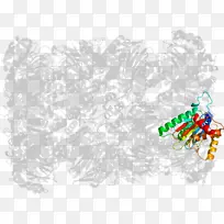 树线字体树-空若网 树线字体树-空若网