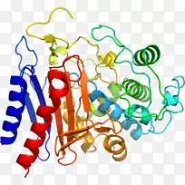 人体行为线有机体点剪贴画线-空若网 人体行为线有机体点剪贴画线-空若网